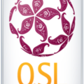 QSL Cup Qatar