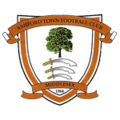 Ashford Town (Middlesex)