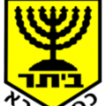 Beitar Kfar Saba Shlomi