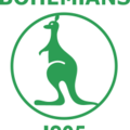 Bohemians 1905 II