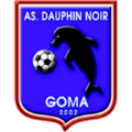 Dauphins Noirs