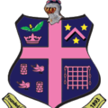 Dulwich Hamlet