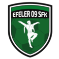 Efeler 09 Spor