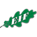 EIF Akademi