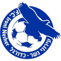 Ironi Nesher