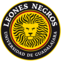 Leones Negros
