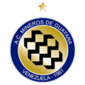Mineros de Guayana