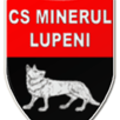 Minerul Lupeni