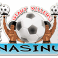 Nasinu