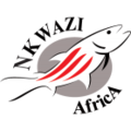 Nkwazi