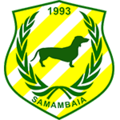 Samambaia