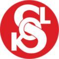 Sokol Živanice