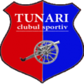 Tunari